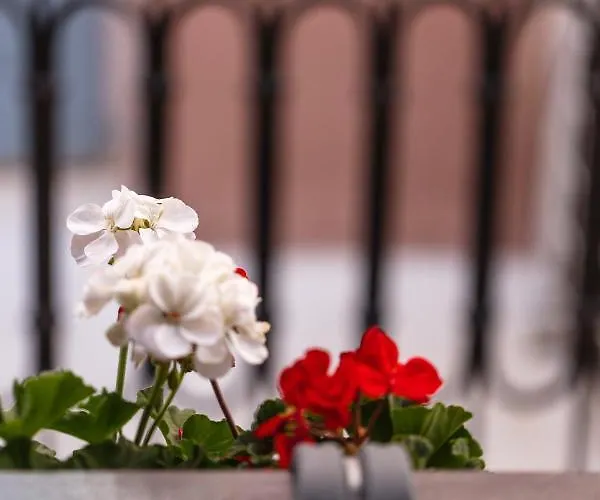 Anchel Maison Dom wakacyjny *