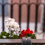 Anchel Maison Vakantiehuis *