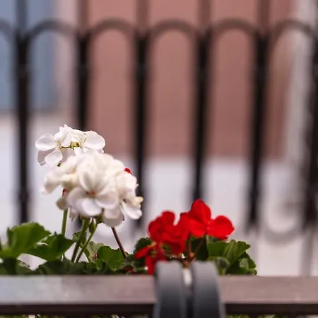 Anchel Maison Holiday home *